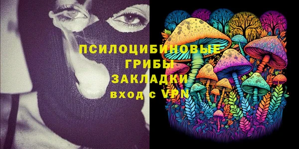 дмт Алексин