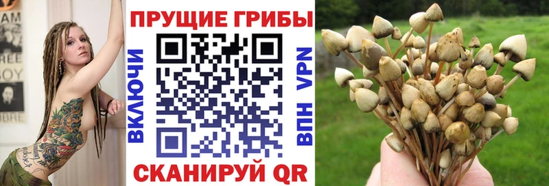 Галлюциногенные грибы прущие грибы  Шадринск 